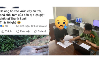 Cái kết của người phụ nữ đăng tin voi rừng bị điện giật chết ở Đồng Nai