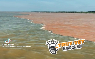 "Giải mã" hiện tượng nước có màu xanh và nâu đỏ ở ven biển Cà Mau