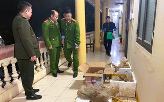 Cứu hộ 12 con vật quý hiếm được công an phát hiện trên ô tô 7 chỗ