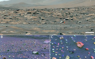 Một vùng đất ngoài hành tinh từng giống Đông Nam Á về khí hậu