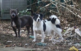 Hãy hành động ngay