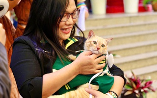 Thảo Cầm Viên: Áo mèo Mika được đấu giá 10 triệu, fan 3 thế hệ “chốt đơn”