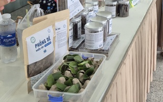 Độc đáo bánh phồng, snack dế