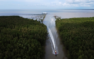 Hơn 2.631 tỉ đồng thực hiện 147 dự án bảo vệ "lá chắn xanh"