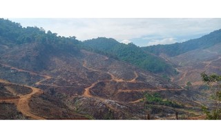 Diễn biến mới vụ phá hơn 97 ha rừng ở Gia Lai