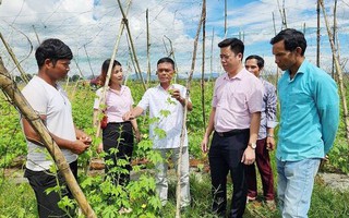 Giảm nghèo cần tạo sinh kế bền vững