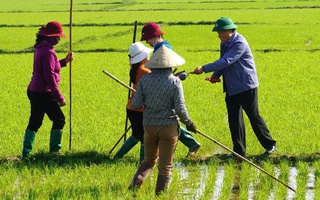 Lãnh đạo tỉnh Quảng Trị ra đồng lì xì cho nông dân