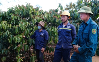 Giám đốc công ty lên tiếng việc công nhân bị thu bảo hiểm xã hội bằng ... cà phê