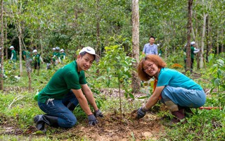 Sự kết hợp không thể thiếu