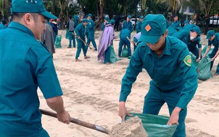 Huy động hàng trăm người "cứu" bãi biển đẹp nhất Quảng Ngãi