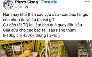 Thực hư “giải cứu” sầu riêng giá siêu rẻ