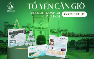 Tổ yến - món quà đặc biệt từ thiên nhiên