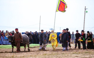 Một nông dân vào vai nhà vua đi cày ruộng