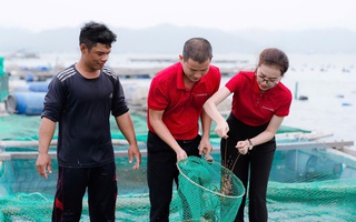 Ngân hàng bung vốn lãi suất thấp cho vay nông nghiệp