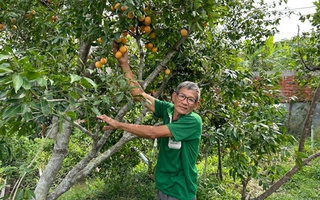 Linh hoạt thích ứng với hạn, mặn