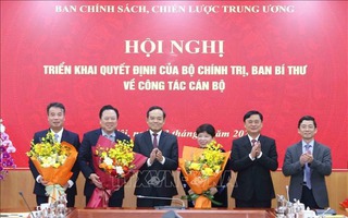 Bổ nhiệm 3 Phó trưởng Ban Chính sách, chiến lược Trung ương