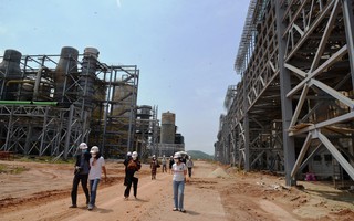 Bất an khi nhà máy bột giấy xả thải ra biển