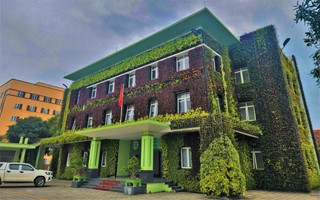 Công sở xanh, giảm nhiệt đô thị