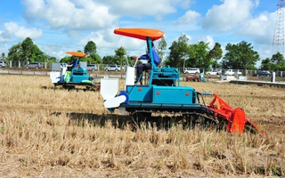 Gạo Việt tỷ lệ kèo nhà cái 88 phát thải thấp