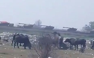 Căng thẳng leo thang, Pakistan điều pháo binh đến biên giới Ấn Độ