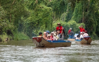 Quả ngọt từ liên kết tỉnh, vùng