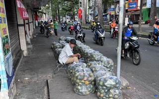 Nắng nóng, cam sành "giải cứu" tăng giá