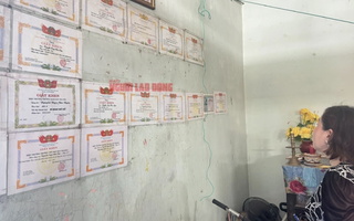 Vụ tai nạn giao thông làm chết bé gái ở Vĩnh Long: Quan điểm tỷ lệ kèo nhà cái 88 các cơ quan liên ngành tỉnh ra sao?