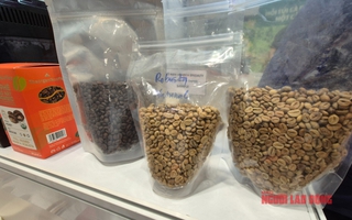 Giá cà phê hôm nay 10-5: Robusta lại đi lùi, người giữ cà phê sốt ruột
