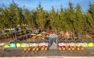 Nỗ lực phục hồi rừng ven biển