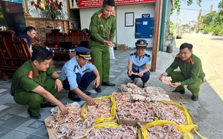 Kiểm tra đột xuất công ty thực phẩm sạch, phát hiện 500 kg chân gà, đuôi lợn không rõ nguồn gốc