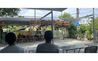 Huế: Khách uống cà phê mang theo chim phải chứng minh nguồn gốc