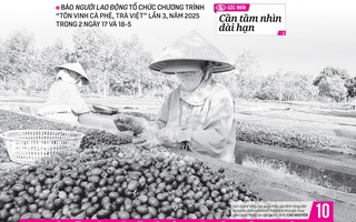 Báo in ngày 14-5: Quy định khí thải với ô tô: Tính kỹ lộ trình