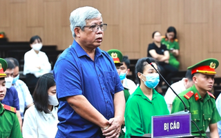 Cùng đồng phạm gây thiệt hại 736 tỉ đồng, cựu thứ trưởng Bộ TN-MT bị đề nghị 30-36 tháng tù treo