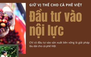 Giữ vị thế cho cà phê Việt: Đầu tư vào nội lực