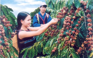 Cần tầm nhìn dài hạn