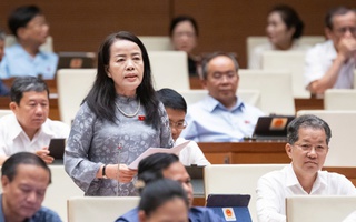 Đại biểu Quốc hội băn khoăn việc bỏ quyền chất vấn Chánh án, Viện trưởng của đại biểu HĐND