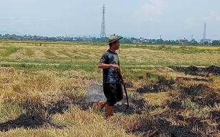 Đốt rơm rạ, một nông dân nhận cái kết "đắng" vì bỏ chạy
