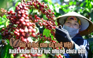 Giữ vị thế cho cà phê Việt: Xuất khẩu lập kỷ lục nhưng chưa bền