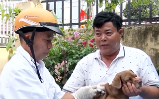 Bé trai 2 tuổi ở Đồng Nai bị chó nghi dại cắn vào đầu