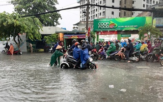 TP HCM: "Giải mã" rốn tỷ lệ cá cược kèo nhà cái chợ Thủ Đức