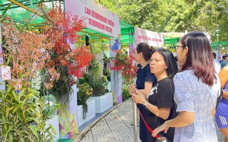 TP HCM: Lễ hội hoa lan lớn nhất năm 2025 có gì đặc sắc?