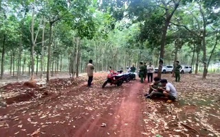 Bàng hoàng phát hiện thi thể nam giới treo lơ lửng trên cây cao su