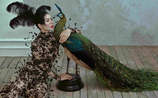 Bộ ảnh nhiều ẩn ý của Lệ Quyên
