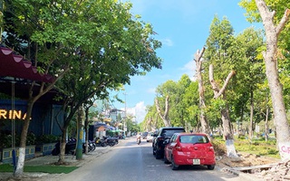 TP Quy Nhơn xây dựng 3 tuyến phố đi bộ