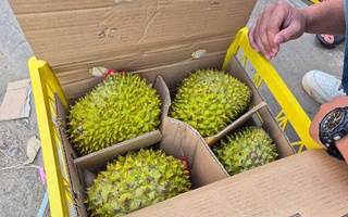 Sầu riêng vừa đón tin vui từ Trung Quốc