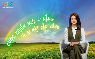 Audio AI: Câu chuyện mưa - nắng và bí mật cầu vồng