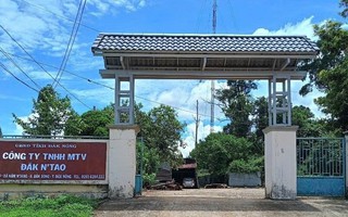 Nhiều cán bộ kiểm lâm, bảo vệ rừng bị tấn công, 1 phó giám đốc trọng thương