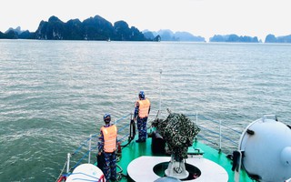 Ngư dân Quảng Bình rơi xuống biển mất tích, cách bờ 80 hải lý