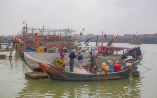 Lý do khiến 11 tàu cá bị phạt gần 1,4 tỉ đồng ở Quảng Bình
