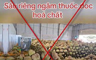 Xử lý thông tin sai sự thật về sầu riêng nhúng hóa chất